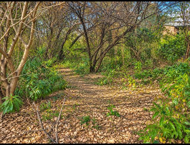 1,672M² VACANT LAND FOR SALE IN ROTHDENE